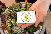 eGift Card to Succulent Native