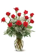 A Dozen Premium Roses