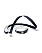 Boat Canvas Collar and Leash