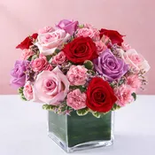 Forever Yours Rose Medley
