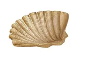 gilded seashell dish