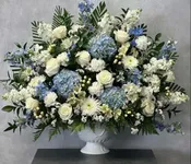 DREAMS OF BLUE AND WHITE