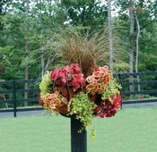 20 Inch Single Tier Basket Planter & Liner Set