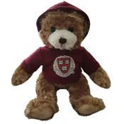 Harvard Bear With Hoodie