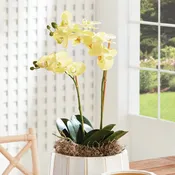 23" Faux Orchid - Yellow