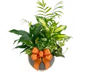 8in Ceramic Garden