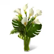 ADORED CALLA LILY BOUQUET