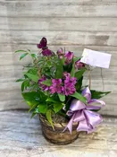 Administrative Professionals' Day Desk Plant