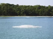 Aquarian Quantum 5 HP Surface Aerator