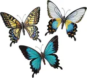 3 BUTTERFLIES