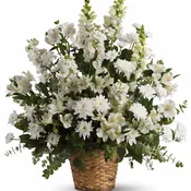 Heavenly Light by Teleflora