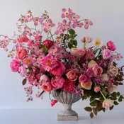 Pretty in Pink