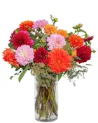 Dozen Dahlias