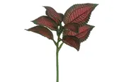 10″ Coleus Leaf Spray, Burgundy/Green