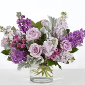 Lucky Lavender