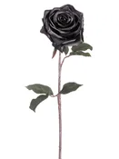 Allstate Black Magic Rose Spray Black 21.5''