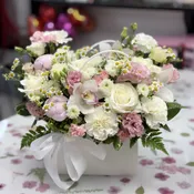 Pastel Bloom .        The photo shows the standard size.