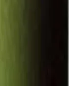 Candy Dark Green Lifetone Paint