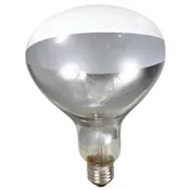 Brooder Heat Lamp Bulb, Clear, 250W