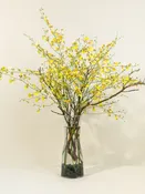 A Bud Vase of Orchid Gold