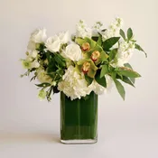 Emerald Elegance