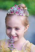 BEJEWELLED TIARA CEOC10850