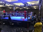 Pro Muay Thai Ring
