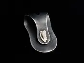 Big Bend Celtic Harp Money Clip
