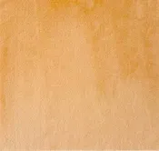 60" HONEY SOLID CUDDLE