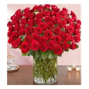 150 Long Stem Roses