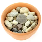 1 Lb Brown pebbles River Rock Cactus and Succulent Top Soil Dressing