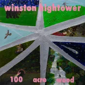 100 Acre Wood [LP]