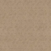 Anderson Tuftex Carpet Ario Antique 00116_ZZ222