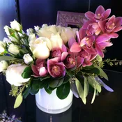 Elegant Orchids and Roses