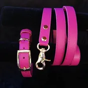 Cavallo Canine Leather Leash – Rose Pink