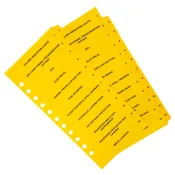 11-Hole Divider Tab Set - 12 Tabs