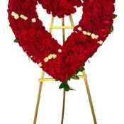 Sacred Heart