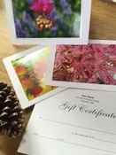 Gift Certificate