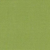 Sunbrella 54011-0000 Canvas Ginkgo