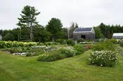 Farm Tour 2026! Last date of the season, Wednesday, 8/19 (4pm to 6pm)! — Salt Farm Flowers