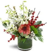 Berry Merry Christmas!™
