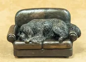 Newfoundland - Couch Potato
