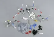 AMINO ACIDS (LARGE SET)