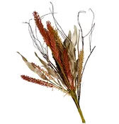 22" Rattail Grass Spray