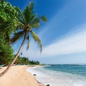Beach Breeze Fragrance