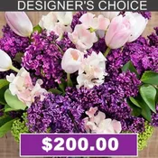 Designer's Choice $200.00