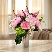 Ballet Rose