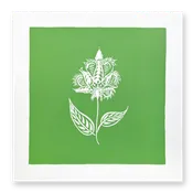 Bengal Botanical No. 2 on Green