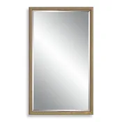 Aspra Gold Mirror | Modern Rectangle Engineered Polymer Frame Bathroom Vanity Mirror Mounted Vertical or Horizontal (24 in. W x 40 in. H x 1 in. D)