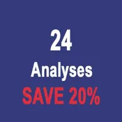 24 ANALYSES